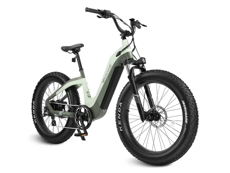 Grace 2.0 Step-Thru Electric Bike