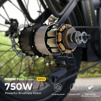 SOHAMO H3 Electric Bike for Adults 20" Fat Tire Folding Ebike, 750W Motor, 48V 15Ah Removable Battery, Front Suspension, Shimano 7 Speed Mountain Bike